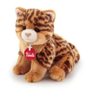 Gattino animalier Brad