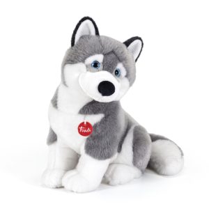 Husky Marcus