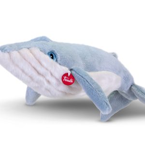 Balenottera Azzurra