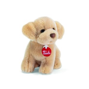 Trudino Labrador