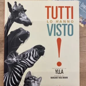 Tutti lo hanno visto – Margaret Wise Brown, Camilla Koffler