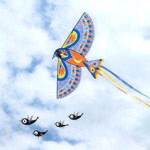 Aquilone Maxi Bird – Djeco