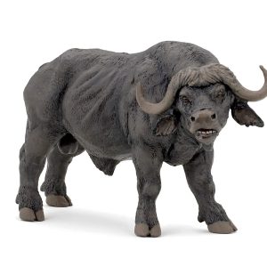 Bufalo – Papo