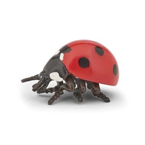 Coccinella – Papo
