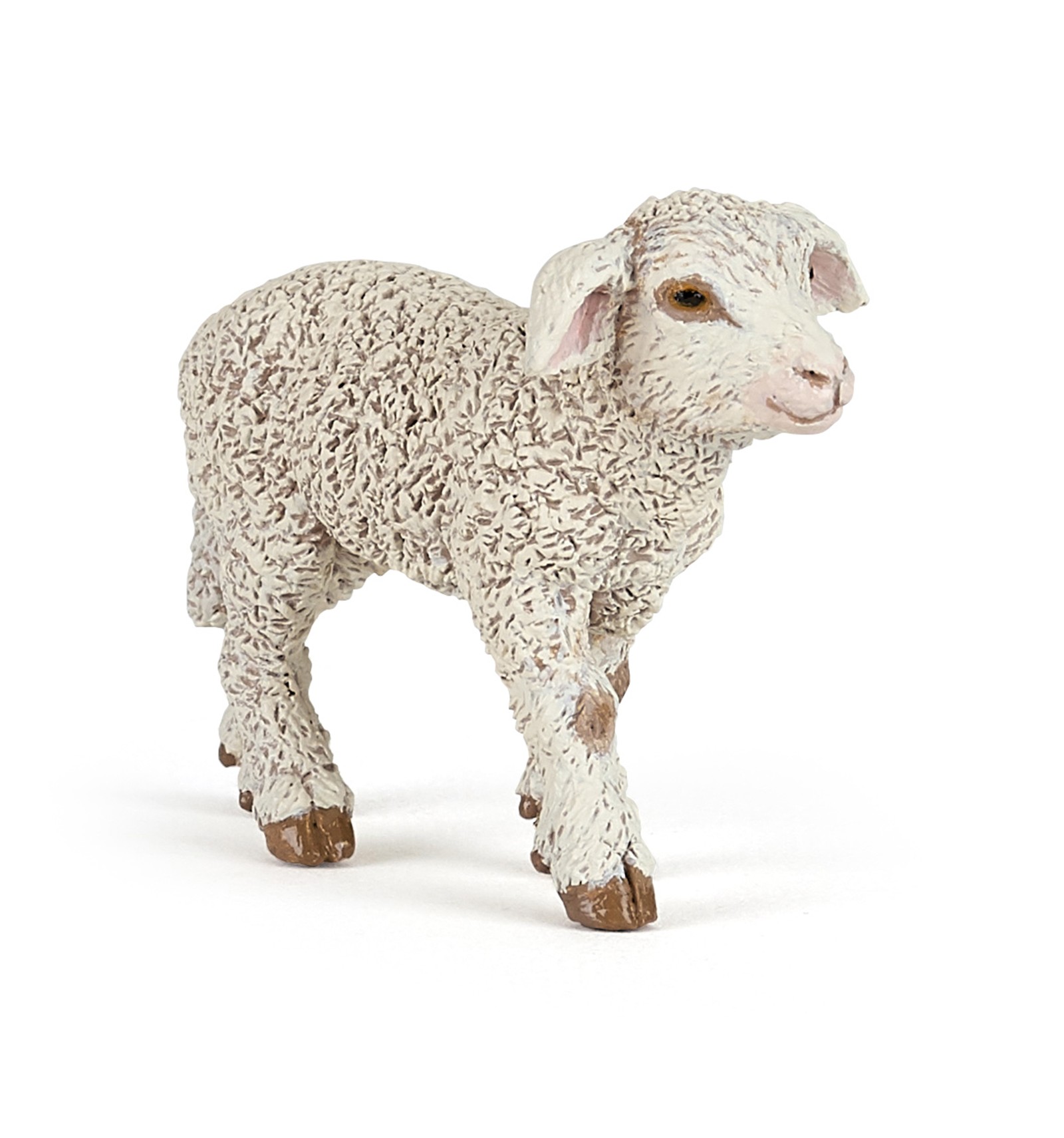 Agnello Merinos – Papo - immagine 2