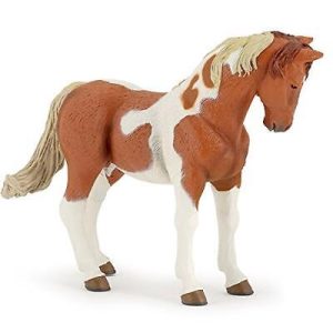 Cavallo Pinto – Papo