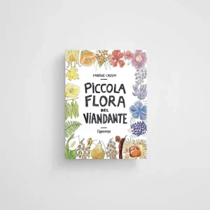 Piccola flora del viandante – Marine Cressy