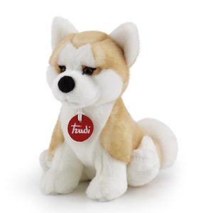 Akita Ascanio – Trudi
